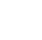 icon white sk